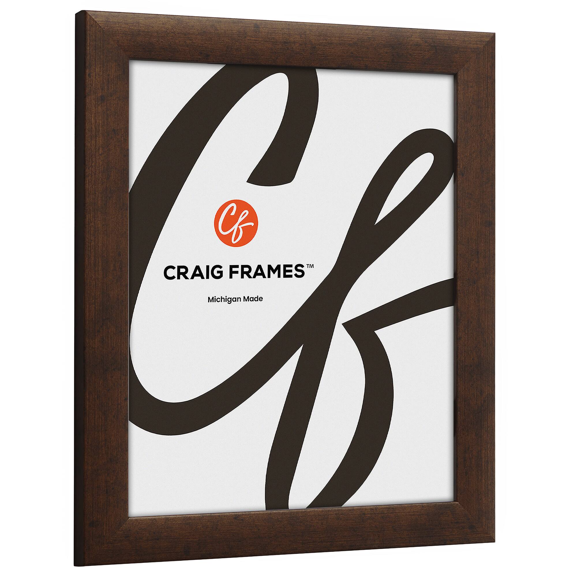 Pack Craig Frames Contemporary Rustic Copper Picture Frame